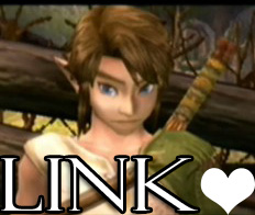 We Love Link