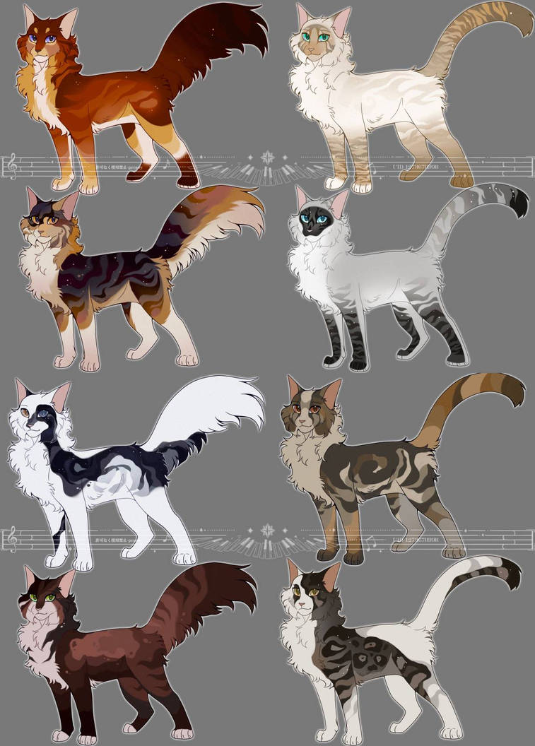 Warrior cats oc design by presoy on DeviantArt
