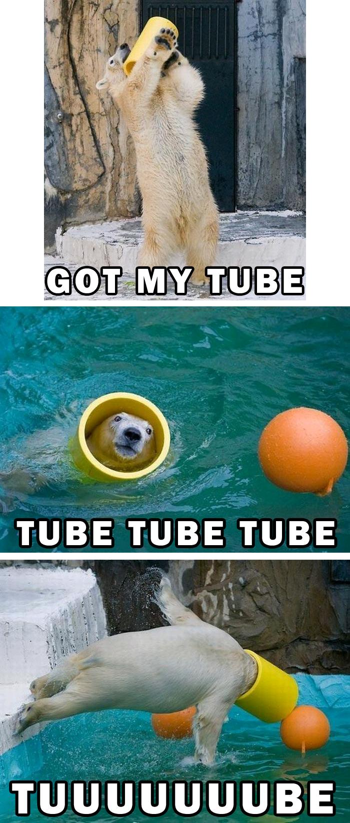 Polar Bear Tube Jump