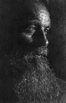 Portrait study
