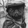 Classy Pug
