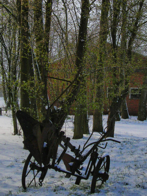Death In Spring Death in Spring by Lucinda88 on DeviantArt