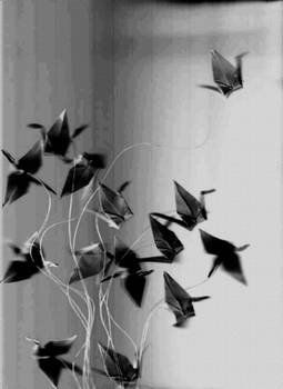 Paper Cranes 2