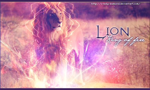 Lion - King of Fire