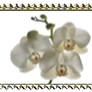 Stamp Orchids