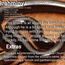 NYBPAD319: Caabi Brahminy Bio