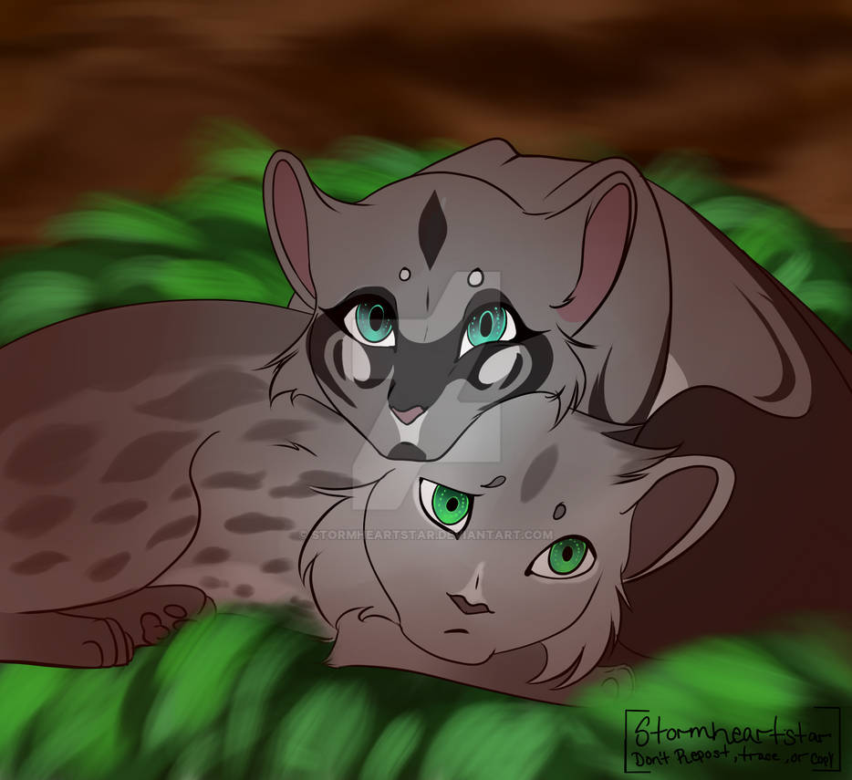 Fallowkit Fallowkit and Otterkit by Stormheartstar on DeviantArt