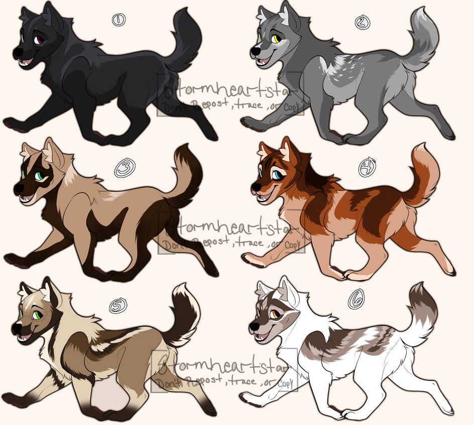 closed wolf adopt by Stormheartstar on DeviantArt