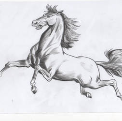 Charcoal horse.