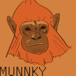 Munnky