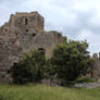 Chateau de Puilaurens II