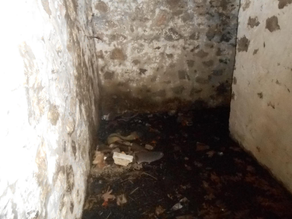 A look inside some old ruins 2 by PoesBeautifulRaven on DeviantArt