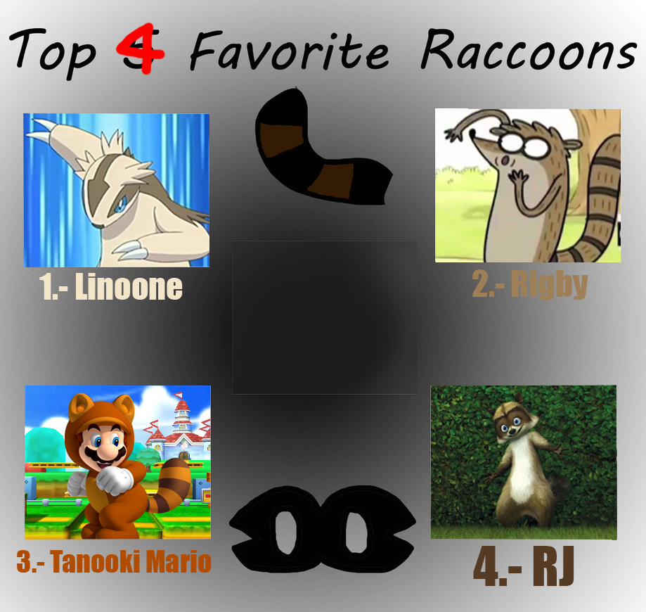 Andy Raccoon Top 4 Favorite Raccoons Meme by Reshiramaster on DeviantArt