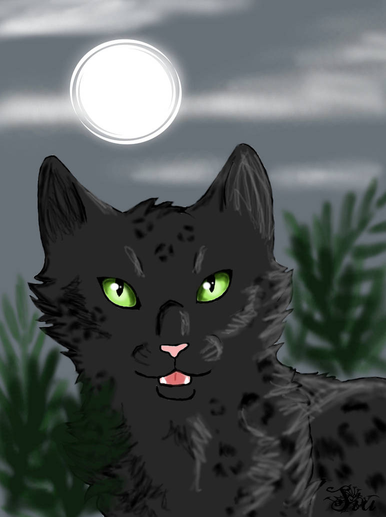Lithe Panthers little panther by TheSiubhan on DeviantArt