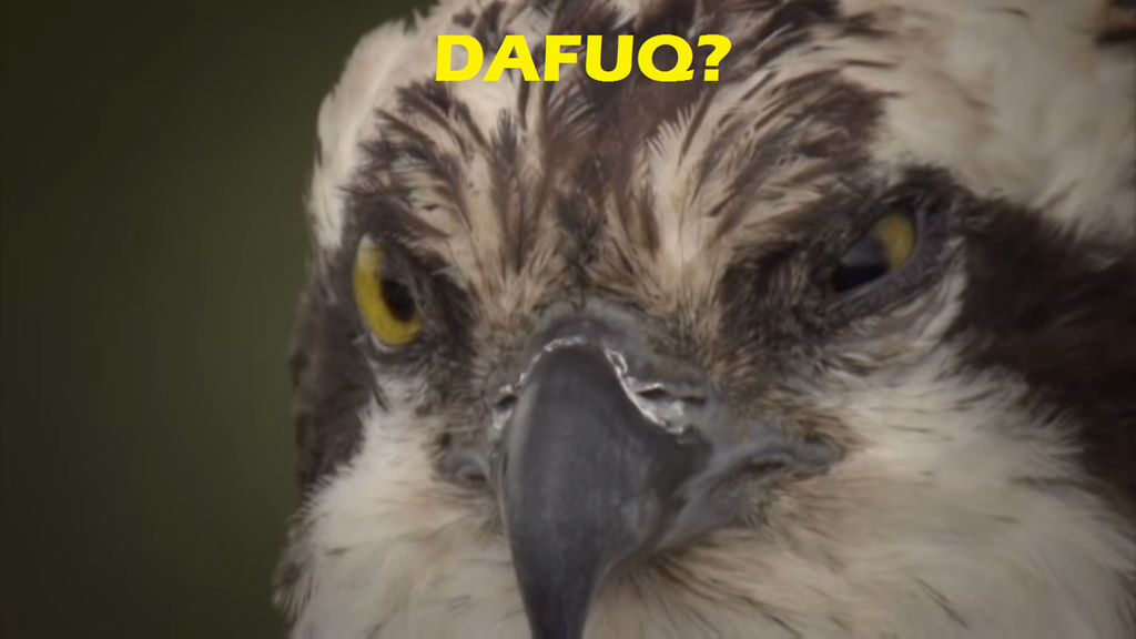 Dafuq Rizz Dafuq? by KamenRiderDeCaliber on DeviantArt