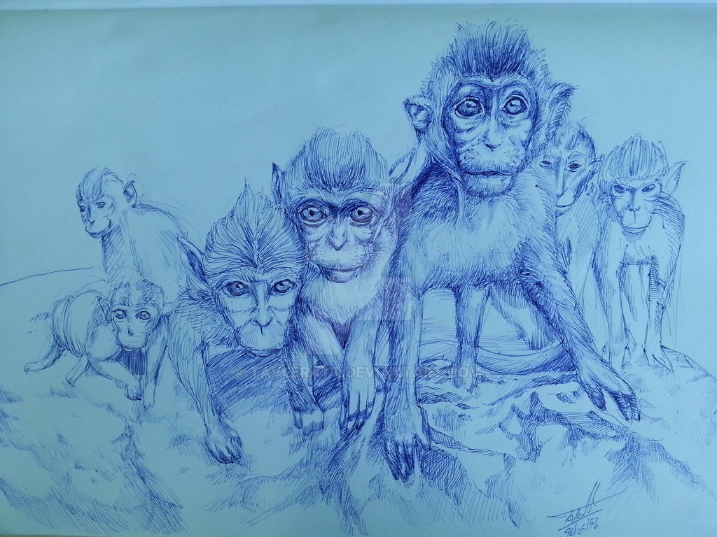 Deviantart 2007 Monkey monkey by taveeratt on DeviantArt