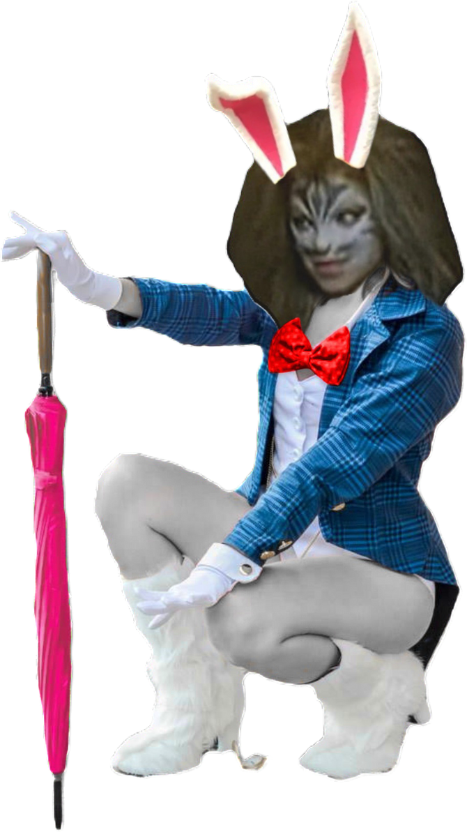Dha Rabbit Raimiverse white rabbit 20 (PNG) by gavin53zan on DeviantArt