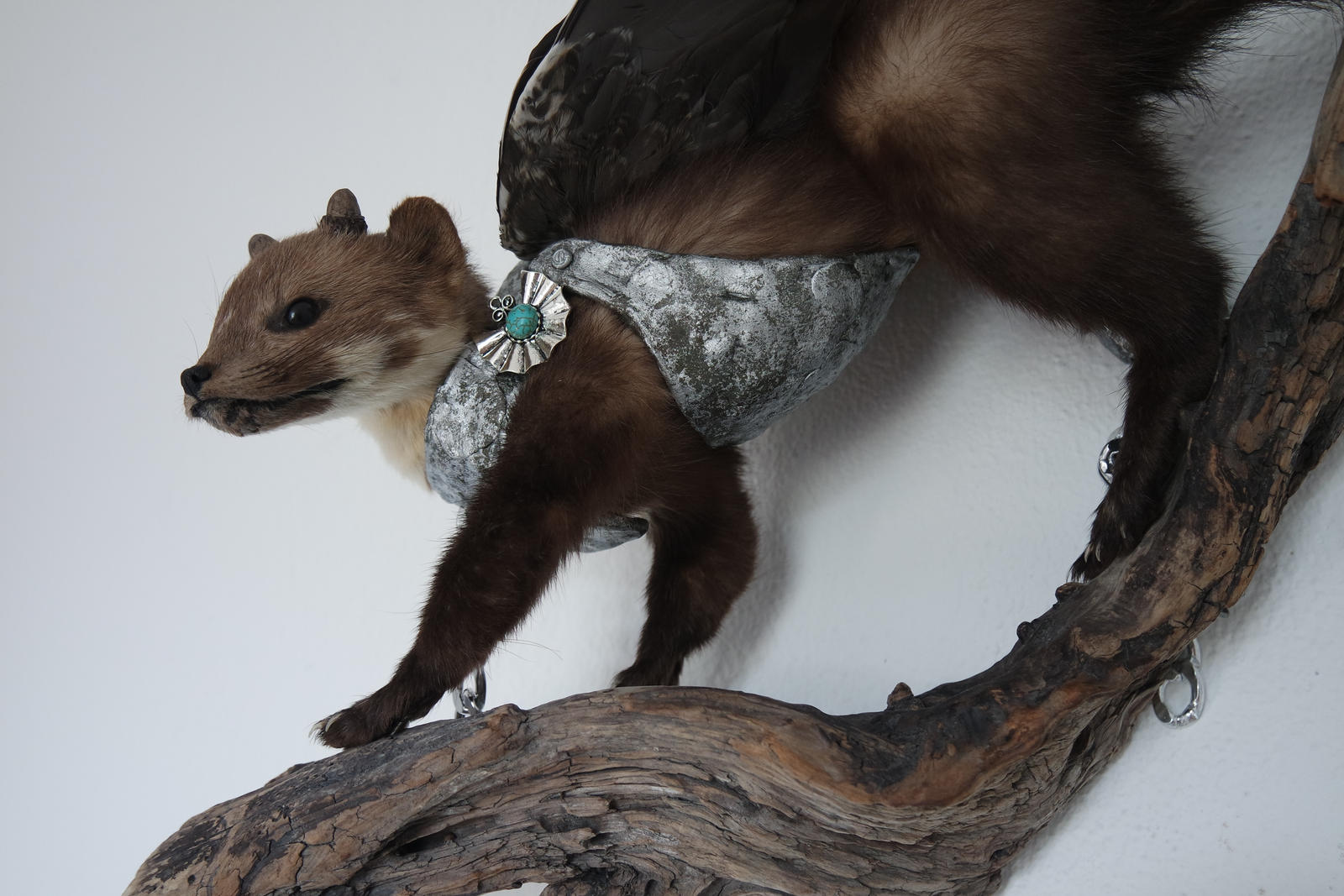 The Guardian Marten