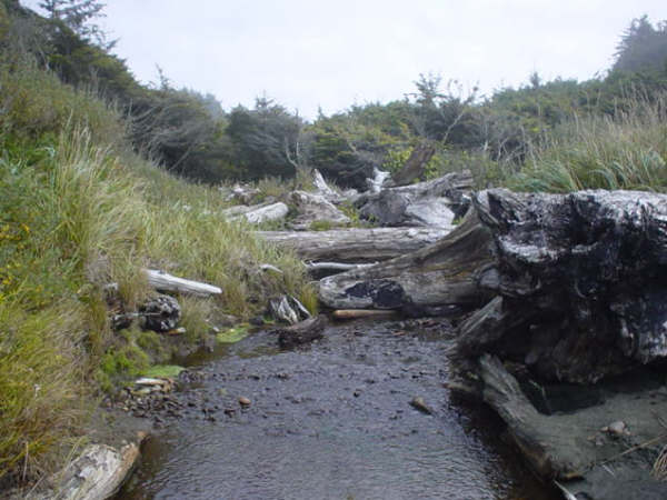 Random Inlet from the Sea