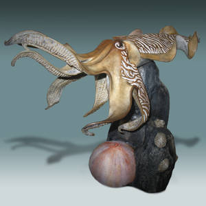 Cuttlefish 2013 Front 2048 by divingsculptor