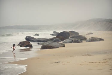 Rocky Landscape