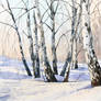 The birch-trees in winter