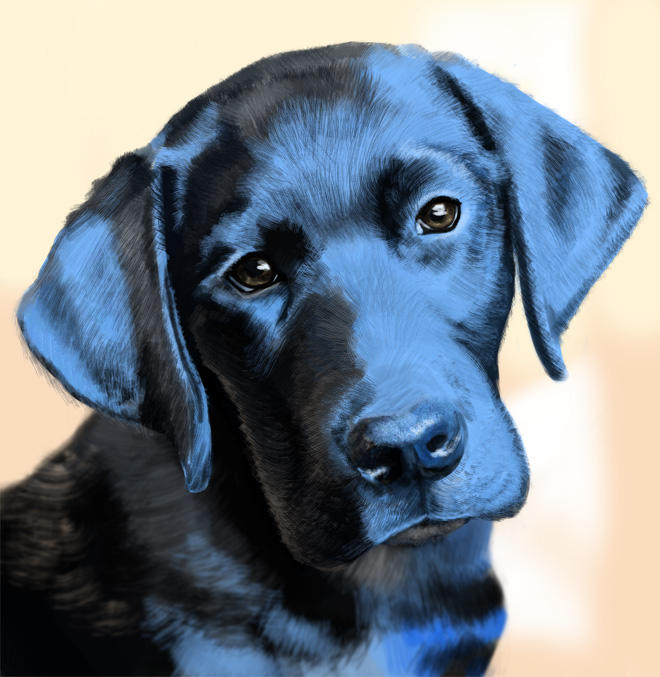 Black Lab Deviantart Black Labrador Retriever Puppy by Tomaka on DeviantArt
