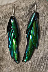 Beetle Wing Earrings