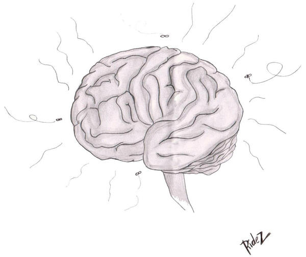 brain by ridez9 on DeviantArt