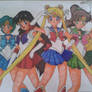 All the Sailor Scouts