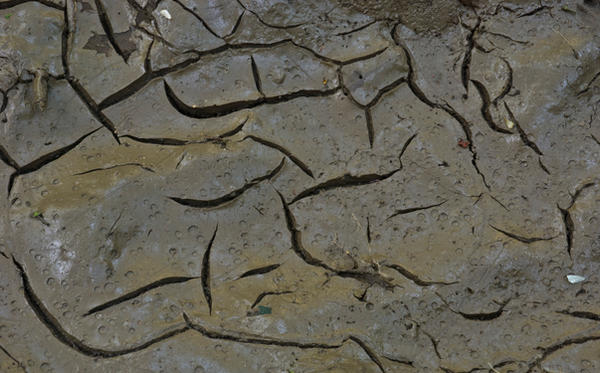 Texture_cracked mud