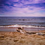 Seashore