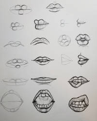 Lips Study