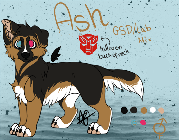 Ash (new fursona)