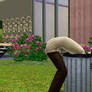 Sims 3 You Know What?