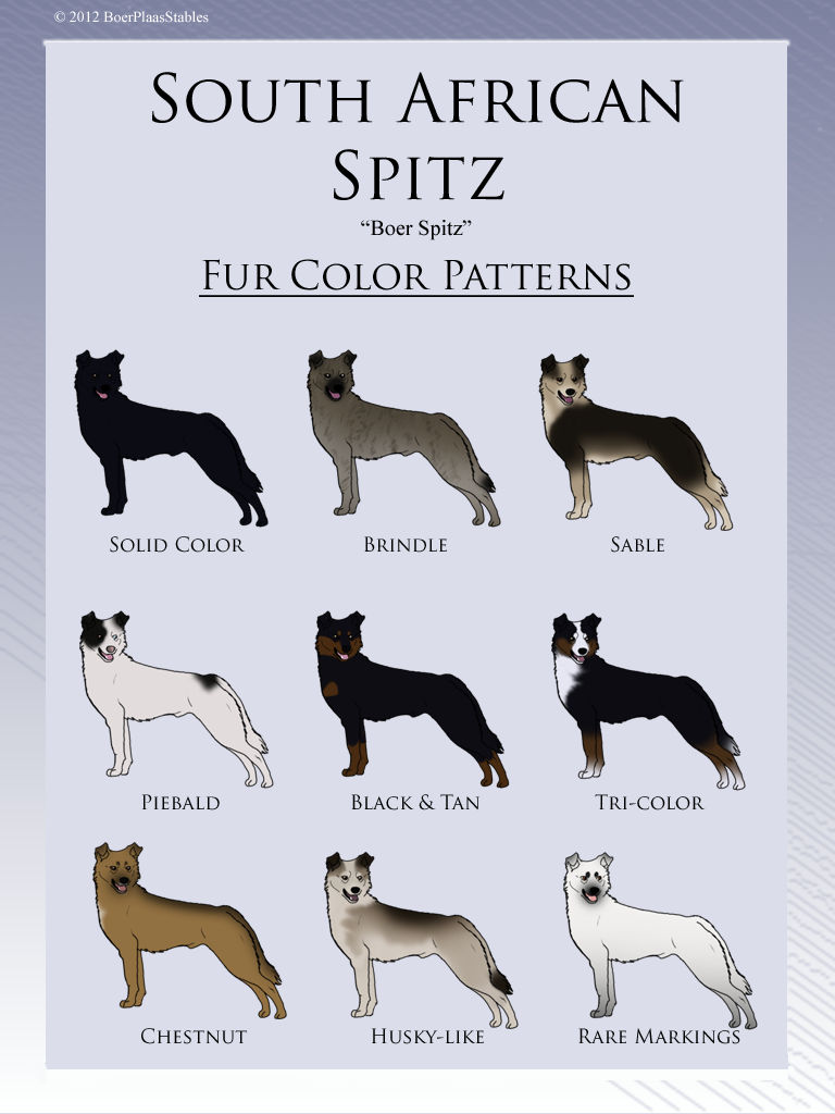 Chart Dog Fur Patterns at Caitlin Hume blog