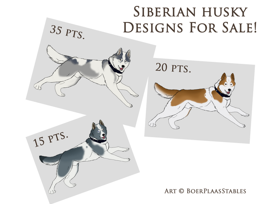 Siberian husky Adoptable Batch2 - OPEN