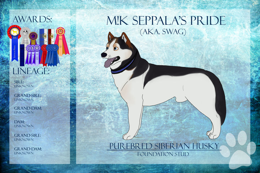 BIS ECh SD/SwDCh M!K Seppala's Pride...Ref Sheet