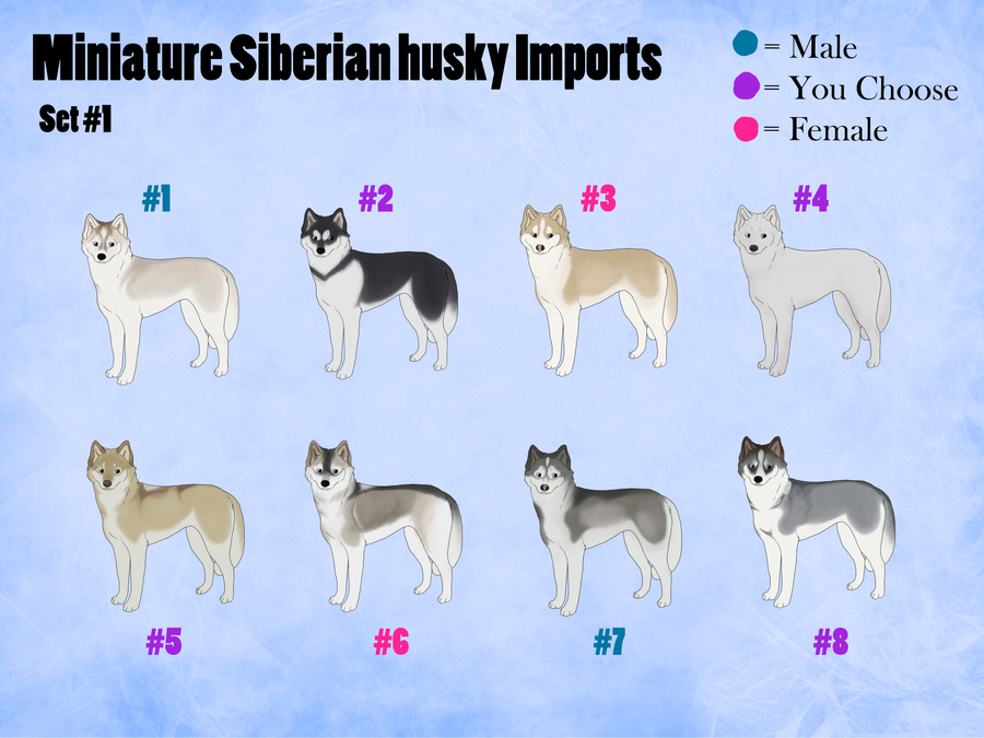 Социализация