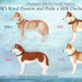 Rua x Duchess Champion Litter 2013 - CLOSED