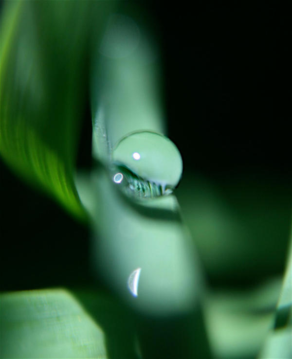 Weird effect by Jordan8987 on DeviantArt