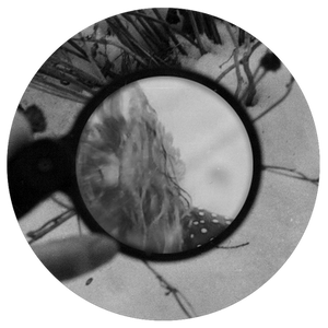 Self under magnifying glass
