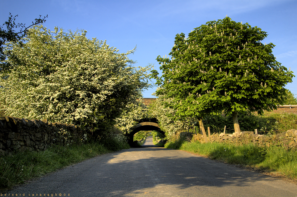 The Road Home