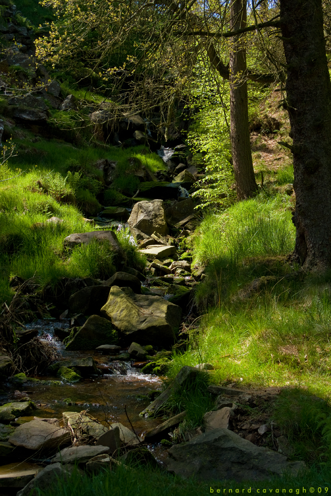 Hidden Brook