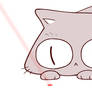 laser cat