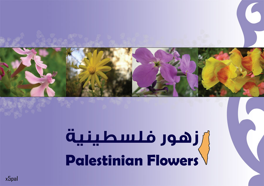 Palestinian flowers