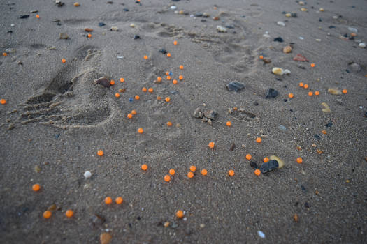 Sand Spheres