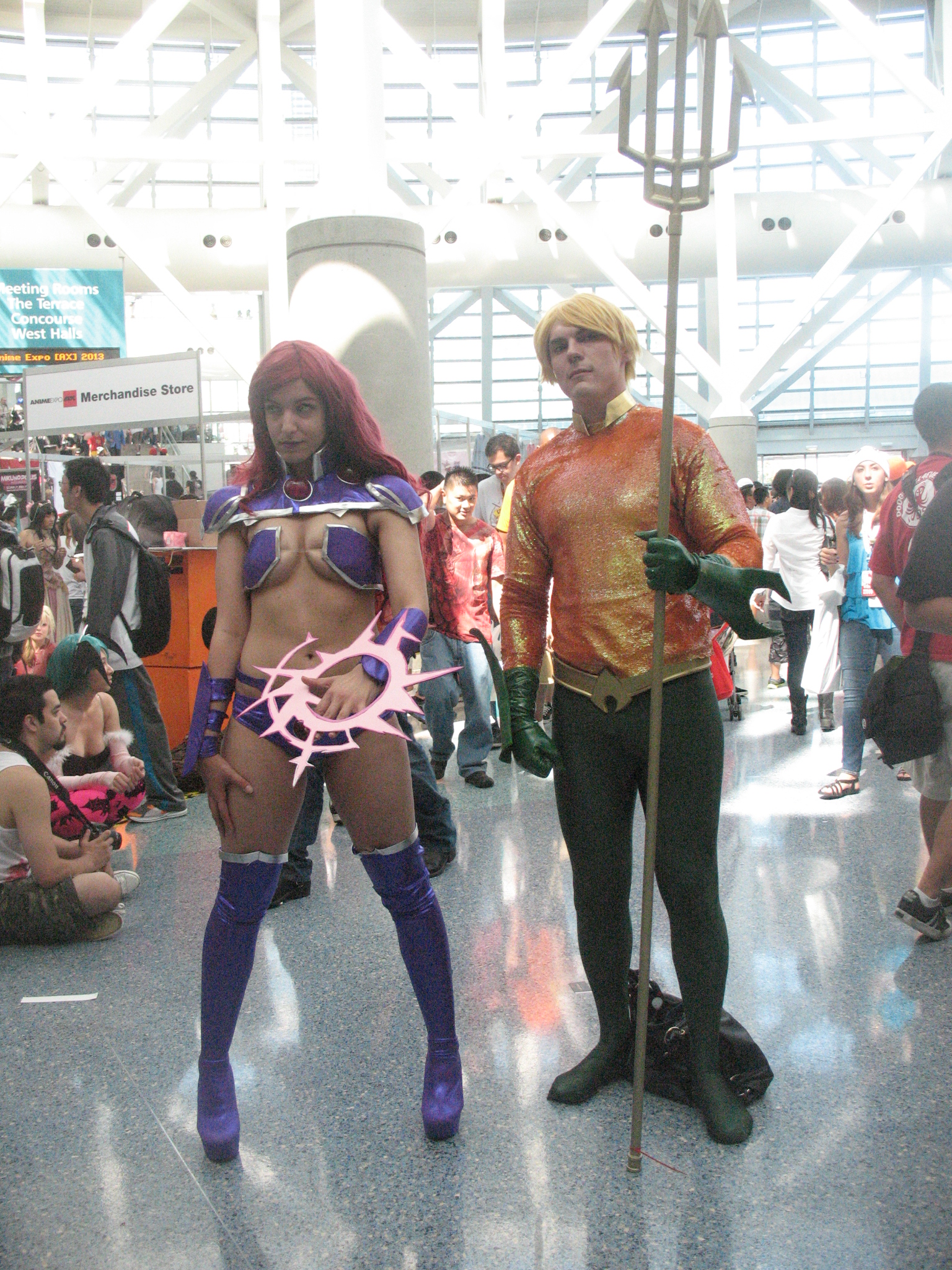 Anime Expo 2013 573