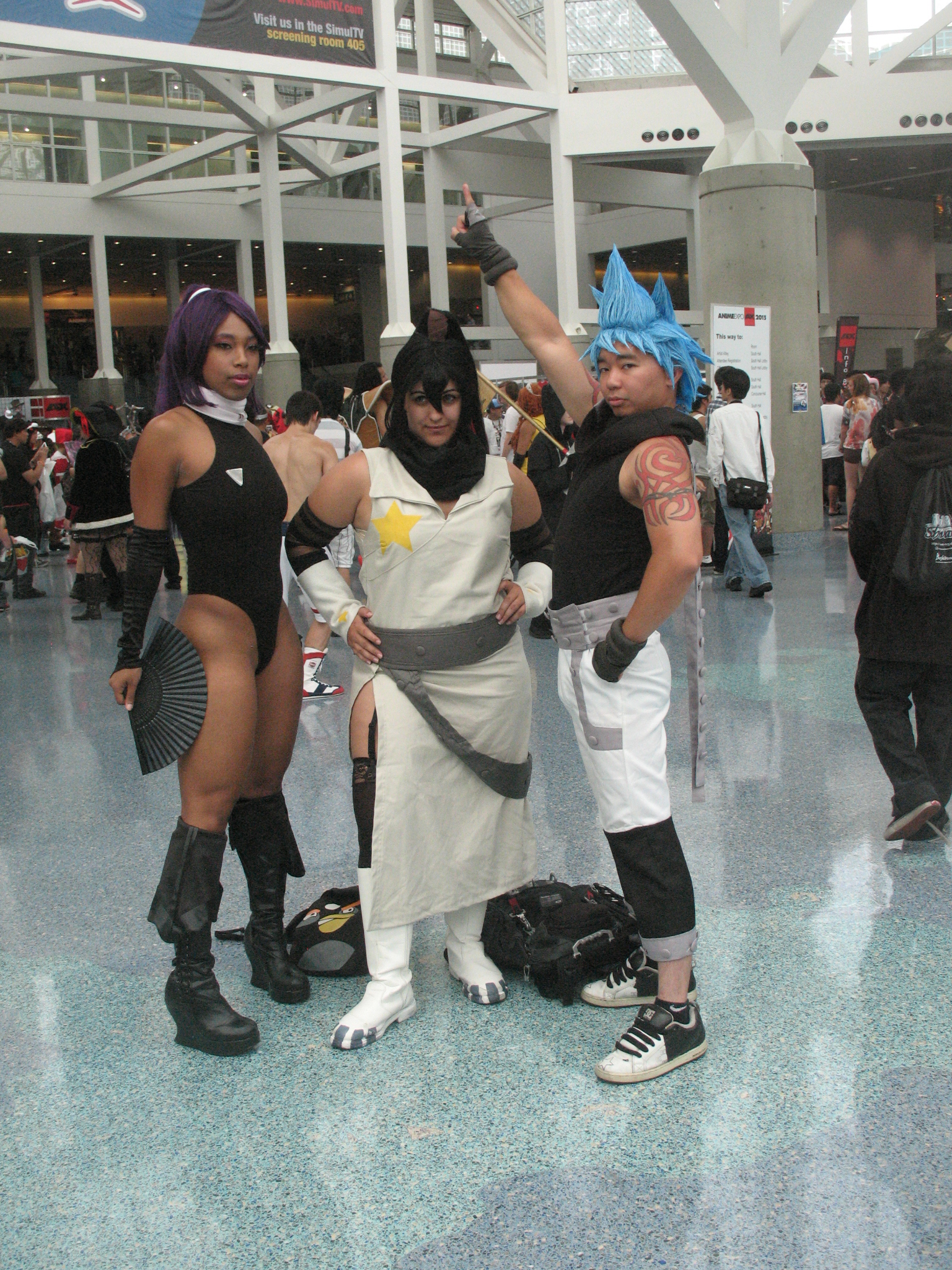 Anime Expo 2013 266