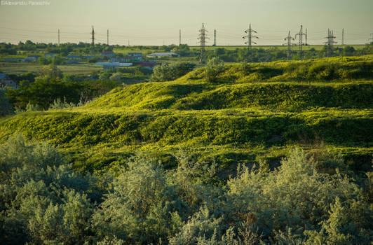 Waves of grass